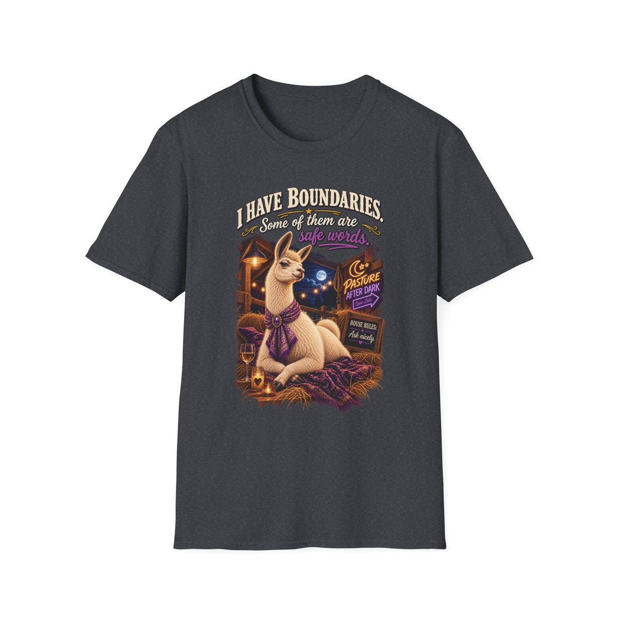 Blanche I Have Boundaries adult llama shirt product mockup