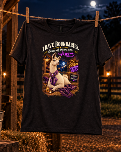 I Have Boundaries llama shirt product image