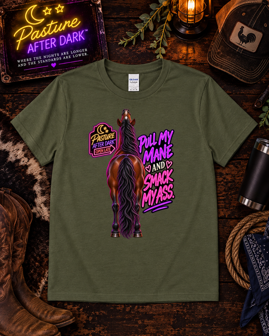 Pull My Mane and Smack My Ass – Gloria Horse T-Shirt — Gloria horse shirt product image
