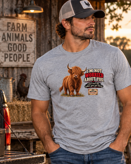 I’m Not Worried About You — Funny Protective Highland Cow T-Shirt — Waylon Highland cow shirt product image